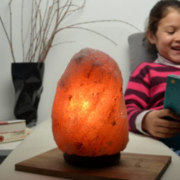 Aquigarden Lampe en Cristal de Sel d'Himalaya de 2 à 3 kg