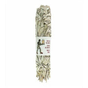 Aquigarden Sauge Blanche de Californie (22-25 cm) Q010
