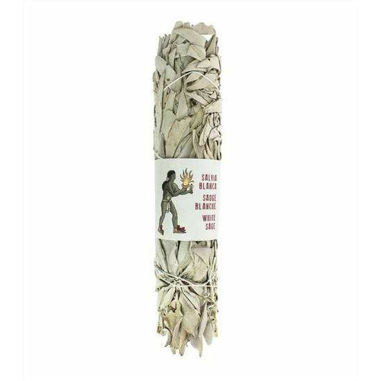 Aquigarden Sauge Blanche de Californie (22-25 cm) Q010