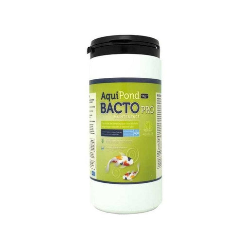 Aquipond Produits AQUIPOND BACTO MAINTENANCE PRO 1KG