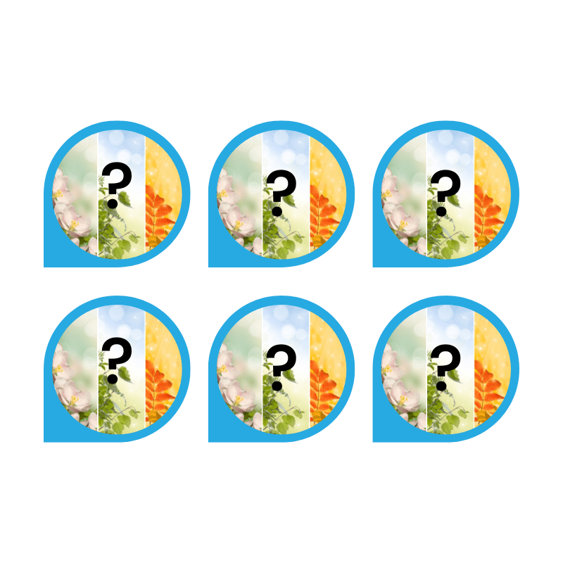 Packs de plantes aquatiques