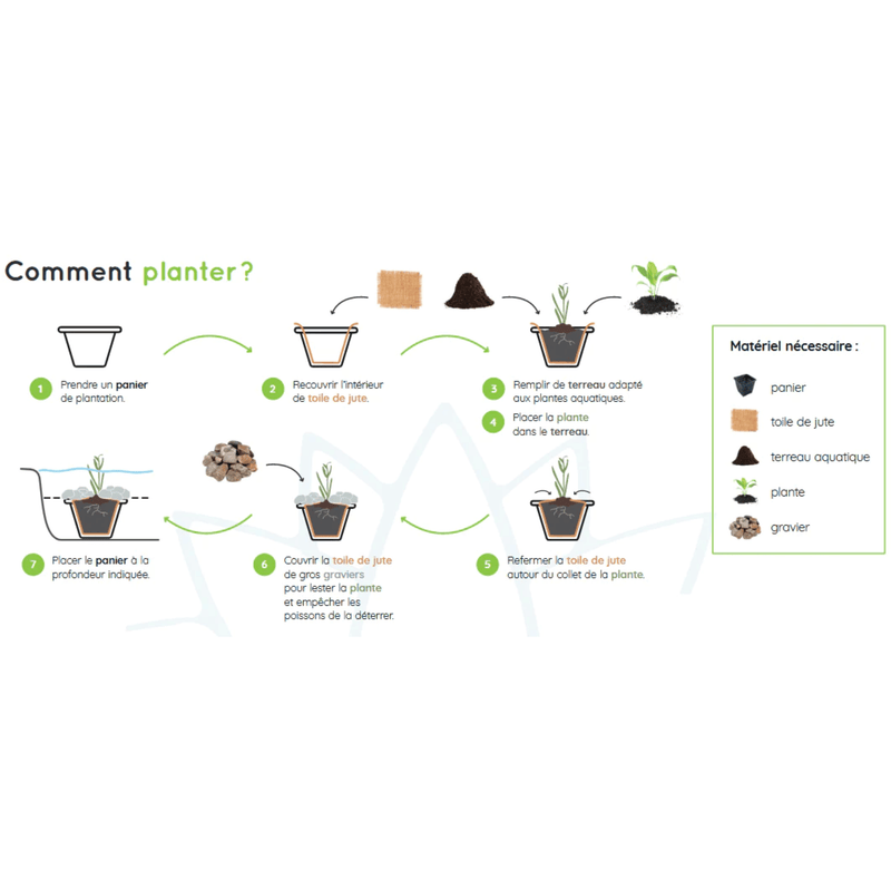Aquipond Pack de plantes aquatiques - 26 plantes pour bassin jusque 2000 litres PackPlantes13