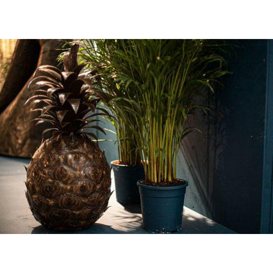 Arrosoir & Persil Ananas - Végétal décoratif en métal recyclé 18050