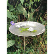 Arrosoir & Persil Bain Nymphea - Accessoire décoratif pour oiseaux 20008
