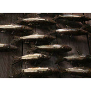 Arrosoir & Persil Banc de sardines x 28 - Poisson décoratif en métal recyclé 26000