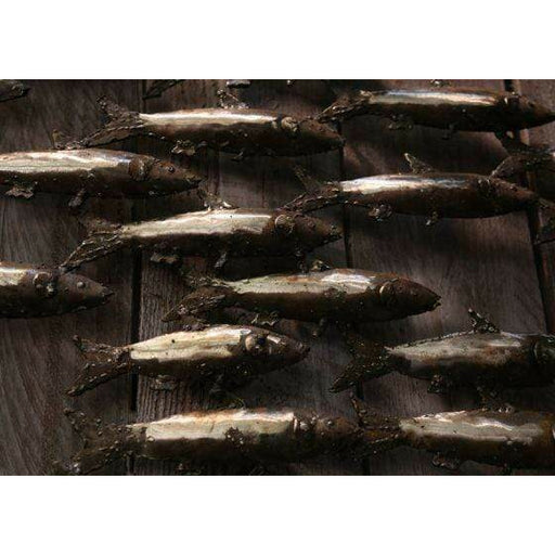 Arrosoir & Persil Banc de sardines x 28 - Poisson décoratif en métal recyclé 26000