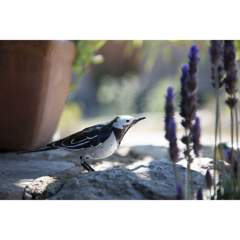 Arrosoir & Persil Bergeronnette - Oiseau décoratif en métal recyclé 11001
