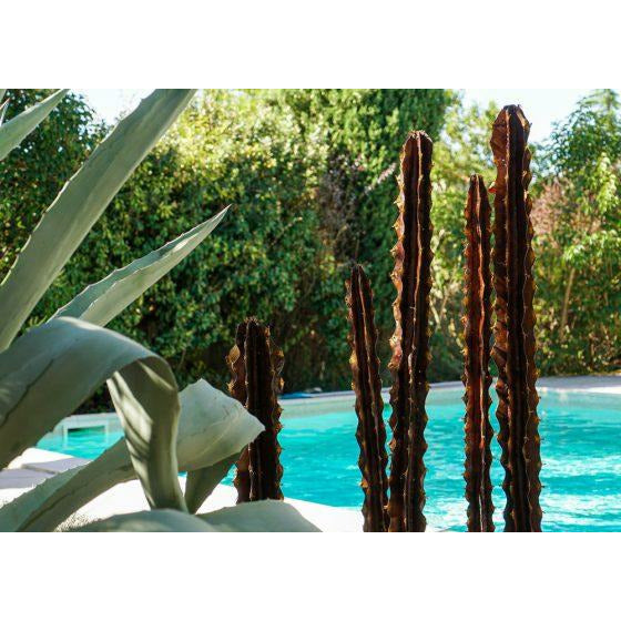 Arrosoir & Persil Cactus Cierge – set de 5 - Végétal décoratif en métal recyclé 18016