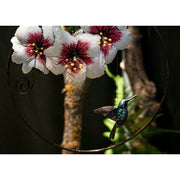 Arrosoir & Persil Cercle Colibri hibiscus - Animal décoratif en métal recyclé 22003