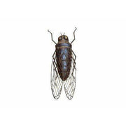 Arrosoir & Persil Cigale – XL - Insecte décoratif en métal recyclé 19103