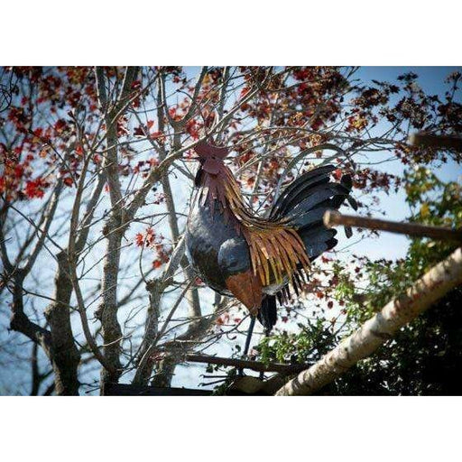 Arrosoir & Persil Coq couleur - Oiseau décoratif en métal recyclé 13005