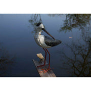 Arrosoir & Persil Echasse - Oiseau décoratif en métal recyclé 12012