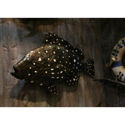 Arrosoir & Persil Mérou - Poisson décoratif en métal recyclé 26004