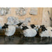 Arrosoir & Persil Mouton - Animal décoratif en métal recyclé 24004