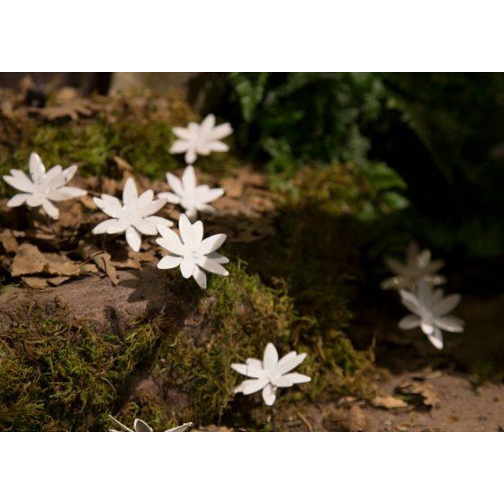 Arrosoir & Persil Nigelle de Damas – set 10 - Végétal décoratif en métal recyclé 18004