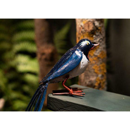 Arrosoir & Persil Oiseau du Paradis - Oiseau décoratif en métal recyclé 12033