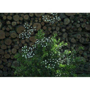Arrosoir & Persil Ombellifère - Végétal décoratif en métal recyclé 18007