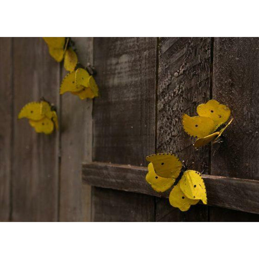 Arrosoir & Persil Papillon jaune à fixer - Insecte décoratif en métal recyclé 19009