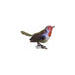 Arrosoir & Persil Rouge gorge - Oiseau décoratif en métal recyclé 11013
