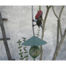 Arrosoir & Persil Rouge-gorge – porte graisse - Accessoire décoratif pour oiseaux 20252