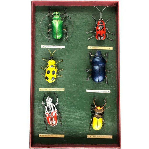 Arrosoir & Persil Tableau d’entomologiste Coléoptères - Insecte décoratif en métal recyclé 19062
