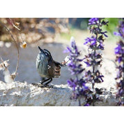 Arrosoir & Persil Troglodyte mignon - Oiseau décoratif en métal recyclé 11016