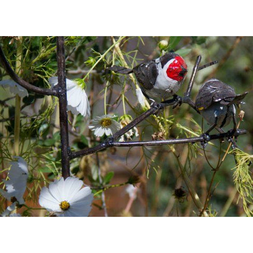 Arrosoir & Persil Tuteur Chardonnerets / 2 oiseaux sur branche - Oiseau décoratif en métal recyclé 15003