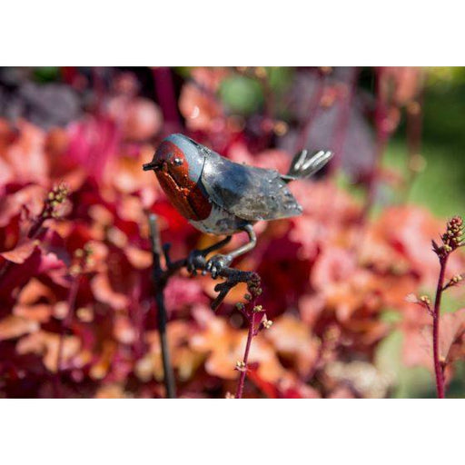 Arrosoir & Persil Tuteur jardinière Rouge gorge - Oiseau décoratif en métal recyclé 15031
