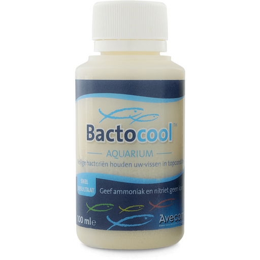 Bactocool Aquarium 100ML - Bactéries vivantes très puissantes —