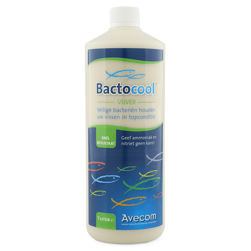 Bactocool Bactéries Bactocool Bassin 1000ML - Bactéries vivantes très puissantes 73578811 W436