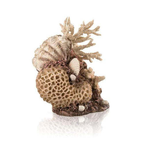 Biorb Accessoires pour aquariums biOrb corail  décoratif naturel et coquillages 822728010365 48360