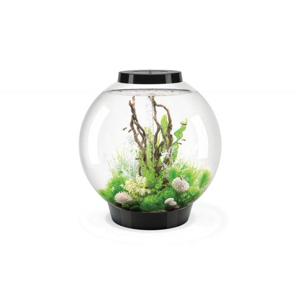 Biorb by Oase Aquarium biOrb CLASSIC 105 MCR Noir - 105 litres 71997