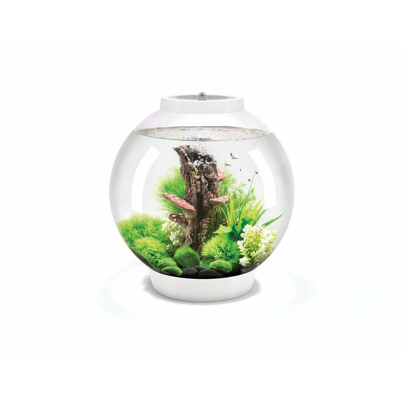 Biorb by Oase Aquarium biOrb CLASSIC 30 MCR blanc - 30 litres 72010
