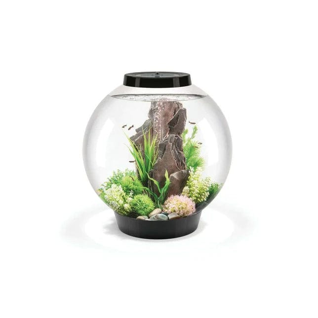 Biorb by Oase Aquarium biOrb CLASSIC 60 LED - 60 litres