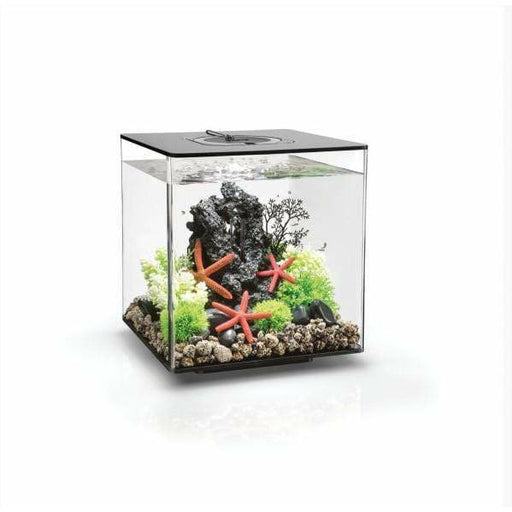 Biorb by Oase Aquarium biOrb CUBE 30 LED noir 822728544808 54480