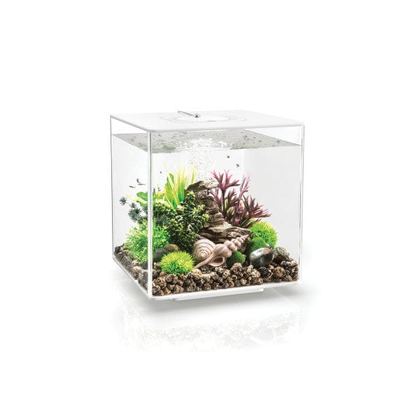 Biorb by Oase Aquarium biOrb CUBE 30 MCR noir - 30 litres 72020
