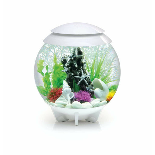 Biorb by Oase Aquarium biOrb HALO 30 MCR blanc- 30 litres 72042