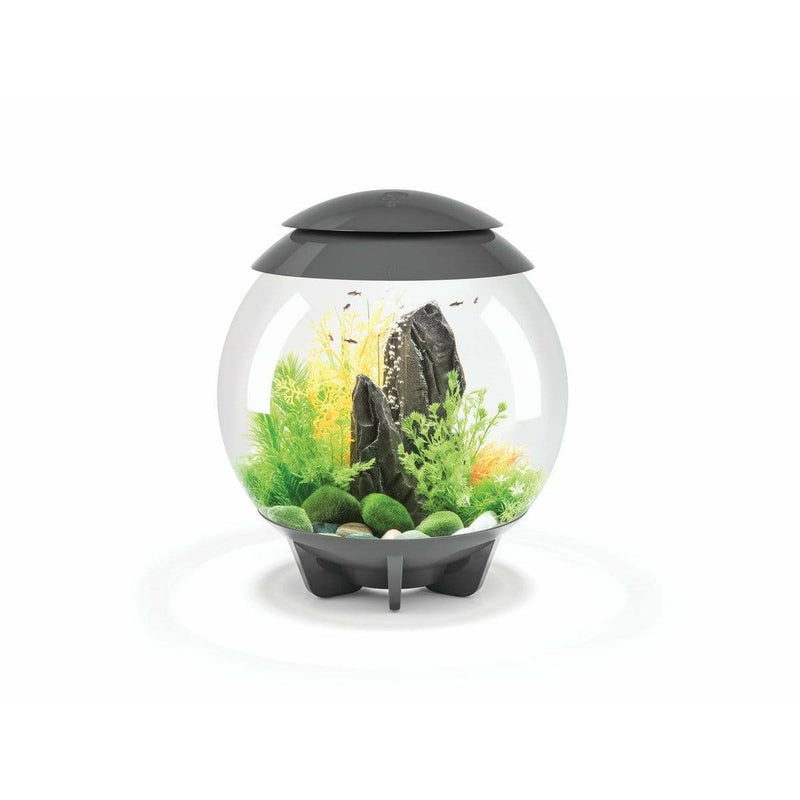 Biorb by Oase Aquarium biOrb HALO 30 MCR gris- 30 litres 72041