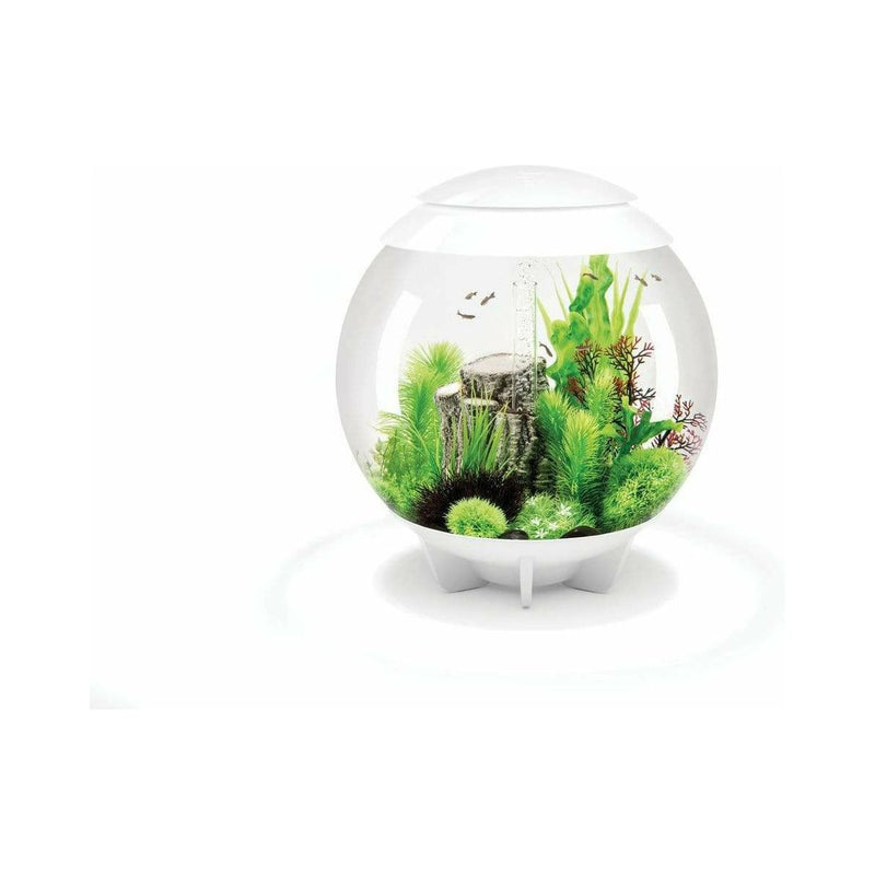 Biorb by Oase Aquarium biOrb HALO 60 MCR blanc - 60 litres 72046