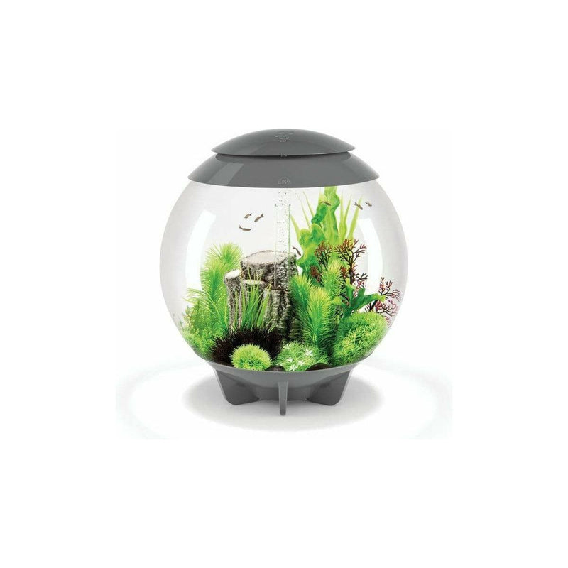 Biorb by Oase Aquarium biOrb HALO 60 MCR gris- 30 litres