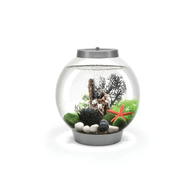 Biorb by Oase Argent Aquarium biOrb CLASSIC 15 - 15 litres 72000