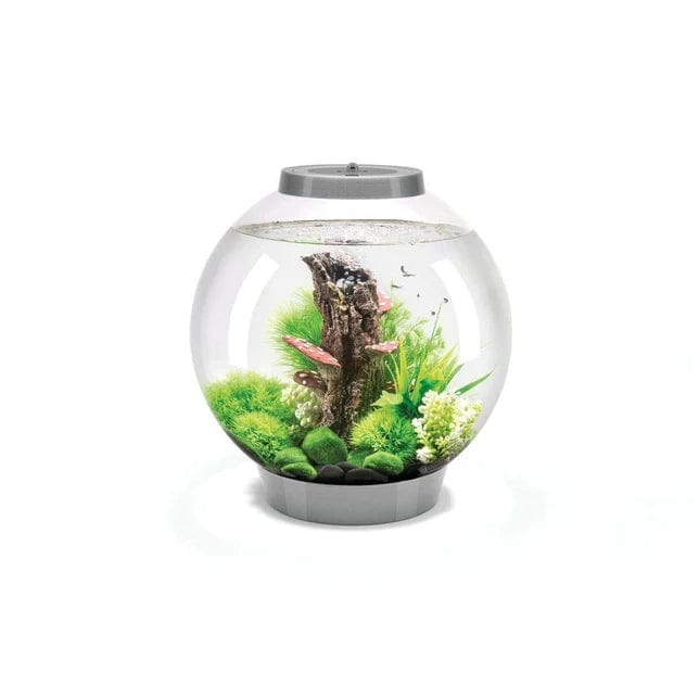 Biorb by Oase Argent Aquarium biOrb CLASSIC 30 MCR - 30 litres 72009