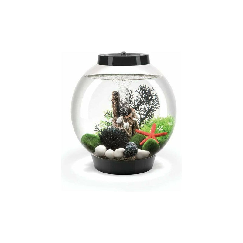 Biorb by Oase biOrb CLASSIC 15 LED noir - 15 litres 71999