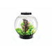 Biorb by Oase biOrb CLASSIC 30 LED noir - 30 litres 72005