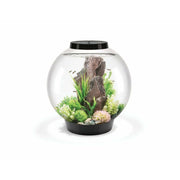 Biorb by Oase biOrb CLASSIC 60 LED noir - 60 litres 72001