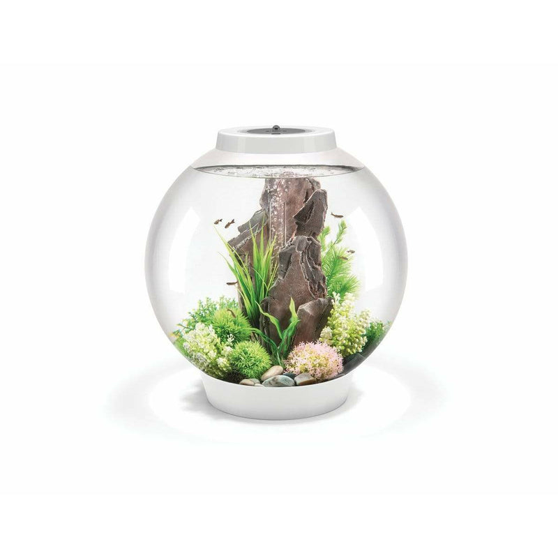 Biorb by Oase biOrb CLASSIC 60 MCR blanc  - 60 litres 72016