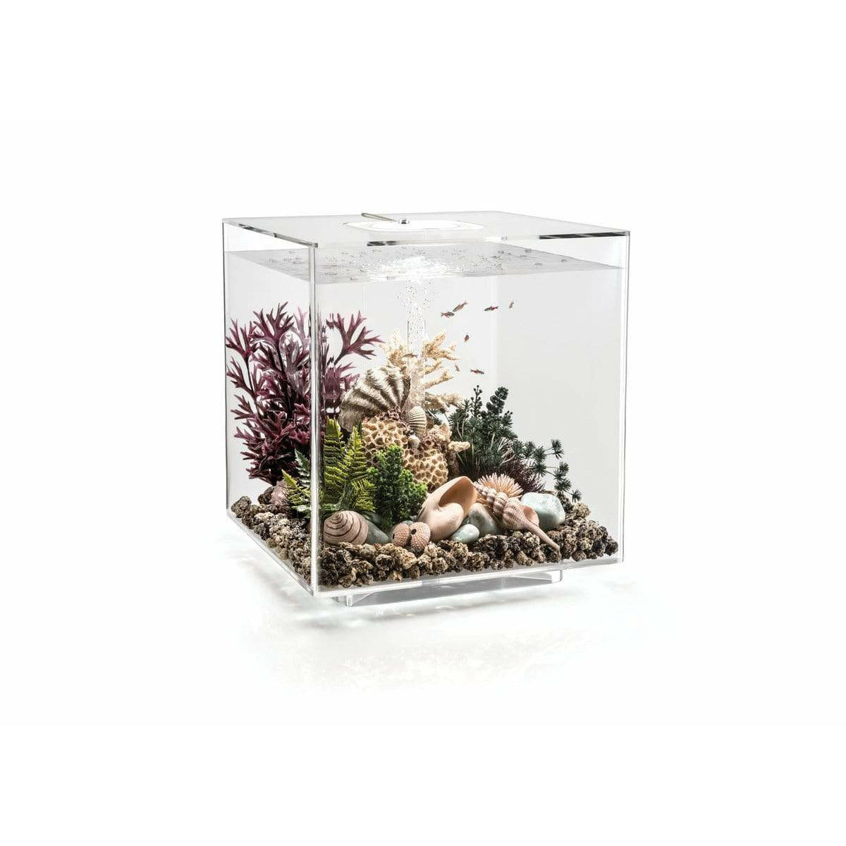 biOrb Kubus Aquarium