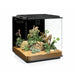 Biorb by Oase Terrariums pour reptiles et amphibiens biOrb Earth 125 - Terrarium complet de très haute qualité 32918