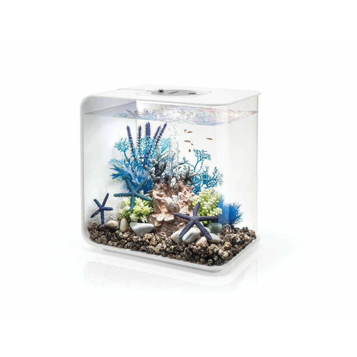 biOrb FLOW Aquarium