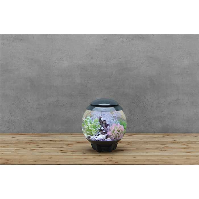 Biorb by Oase Aquariophilie BIORB HALO 15 MCR GRIS 822728007433 45654
